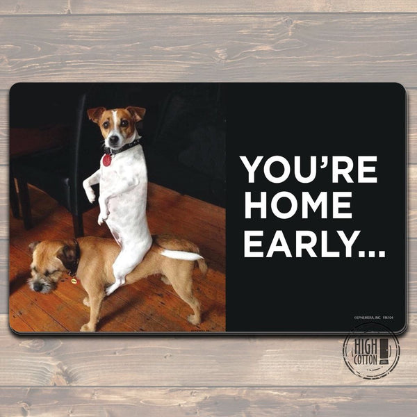 Funny & Snarky Doormats