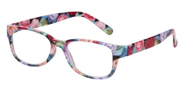 17696 Reading Glasses