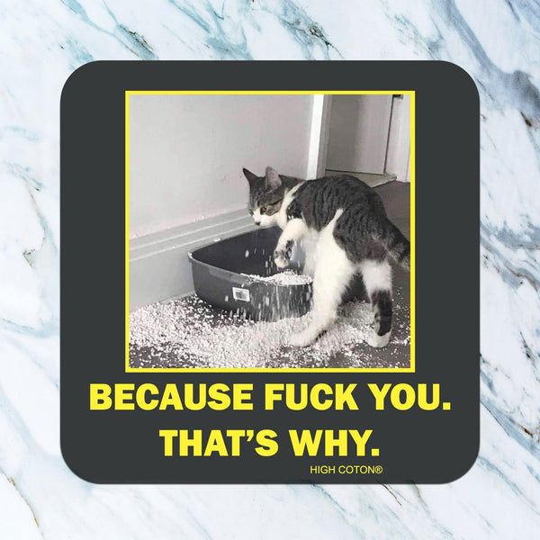 395 posavasos altos de algodón