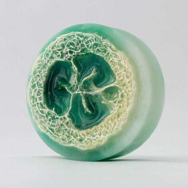 55687 Loofah Soap