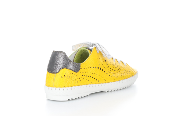 6219115 Zapatillas Oxley con cordones de Bos & Co