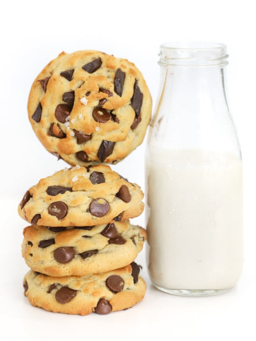 Curly Top Gourmet Chocolate Chip Cookie