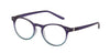 17696   Reading Glasses