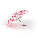 24984   Sage & Emily Compact Umbrellas